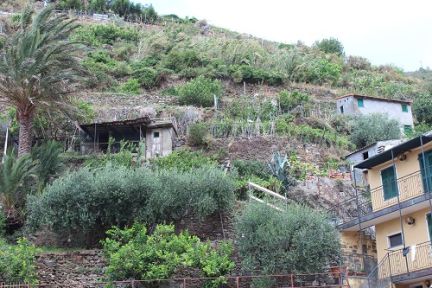 cinqueterra Italy