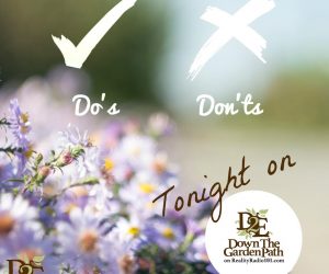March Do's and Don'ts in the Garden 