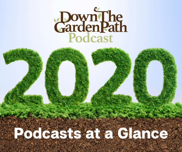 2020 podcasts at a glance