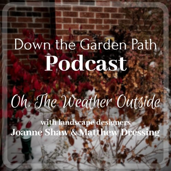 podcast image for oh the weather outside