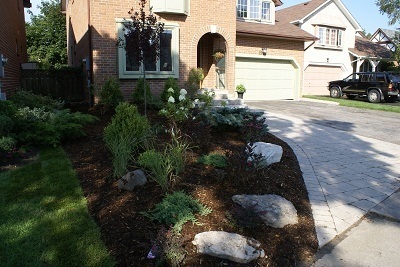 replace lawn with garden