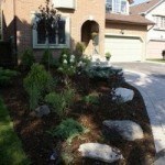 Summer 2008. Full-size garden installed to replace existing lawn.