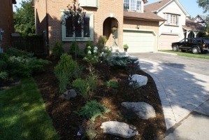 Summer 2008. Full-size garden installed to replace existing lawn.