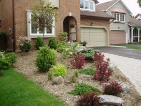 garden to replace lawn