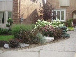 garden to replace lawn