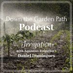 irrigation