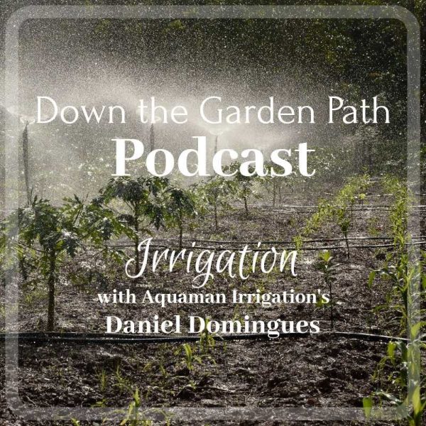 irrigation