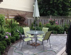 lawnless backyard