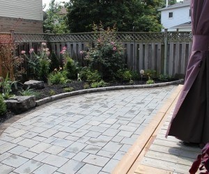 Right side of yard after install 2 years ago.