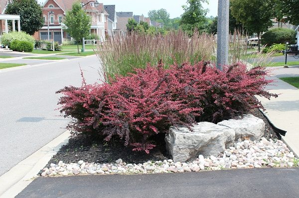 Landscape Contractor 