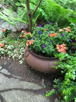 shady corner planter short