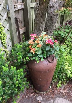 shady corner planter