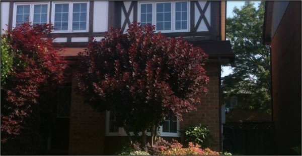 treeblocking