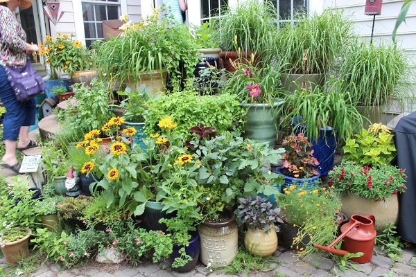 Garden Blogger Fling 