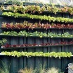 A great way to hide an ugly fence.
