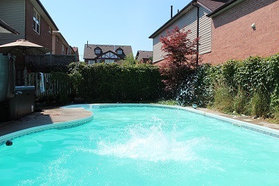 vines and pool