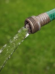 watering hose