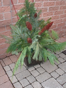 Natural Evergreen Urn